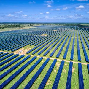 UFV-Assuruá-foto2-2